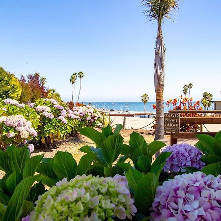 Edgewater Beach Inn Santa Cruz Eksteriør billede