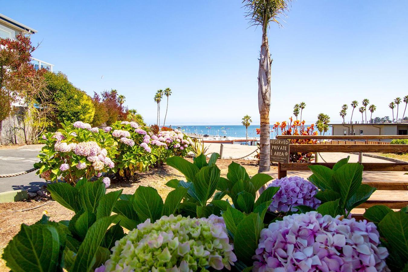 Edgewater Beach Inn Santa Cruz Eksteriør billede